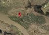 Twin Oaks Road photo